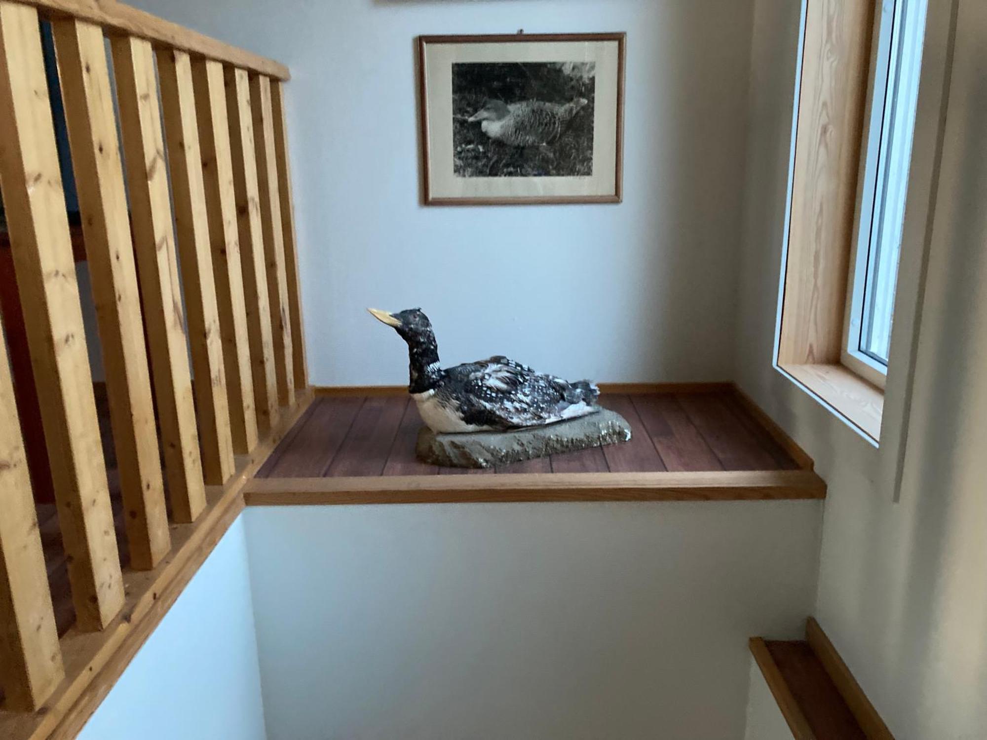 Fiskarheimen Havly, Rost Hotel Eksteriør billede