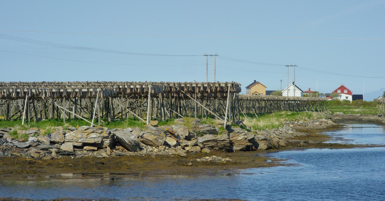 Fiskarheimen Havly, Rost Hotel Eksteriør billede